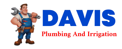 Trusted plumber in VIOLET